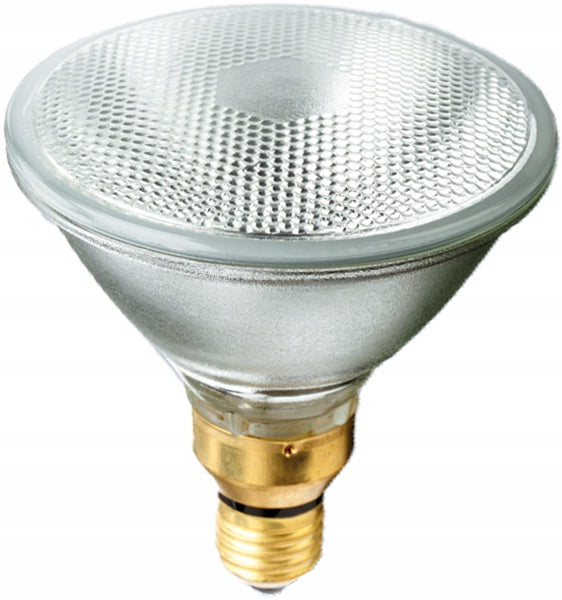 RADIUM RALOGEN PAR38 100W E27